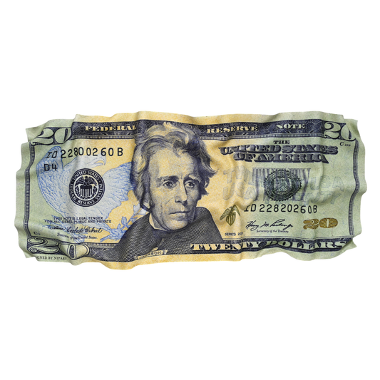 $20 Bill